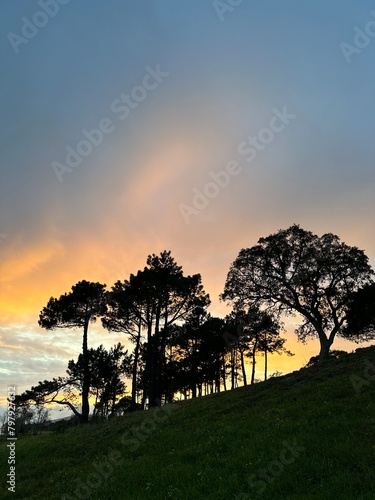 Sunset over the trees on a hill near Eiras, O Rosal, Galicia, Spain, February 2023 photo