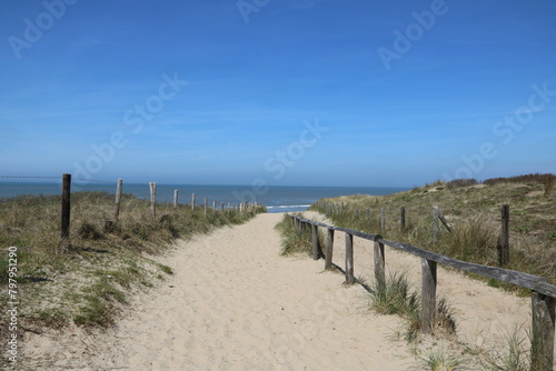 Weg zum Strand durch die Dünen von Noordwijk in Holland an der Nordsee