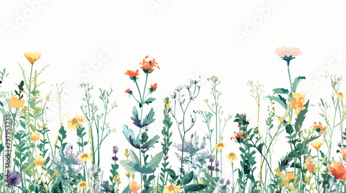 Pattern on a white background with a wild flowers of