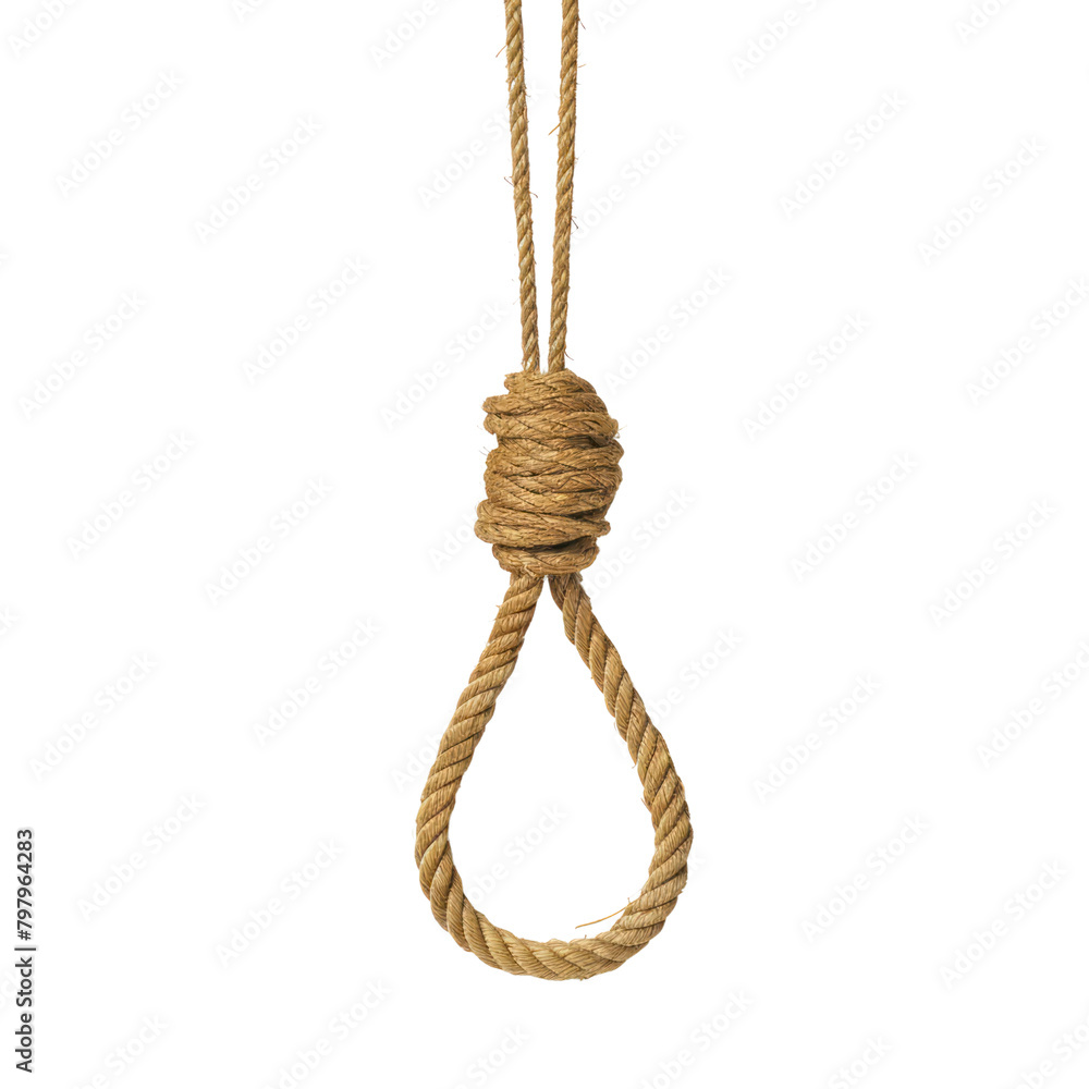 Noose, plain isolate on transparent png. Noose, plain isolate on transparent png.