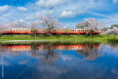 千葉　小湊鉄道と春の桜　レトロな駅/
Japan sakura cherryblossom photo