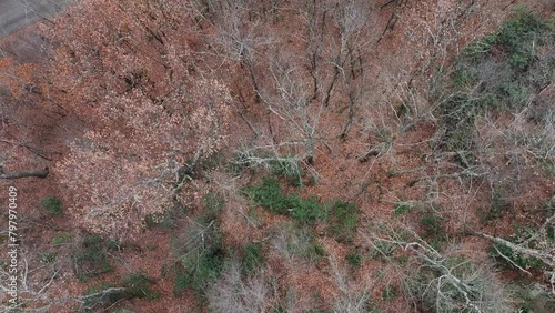 drone view abandoned fire tower