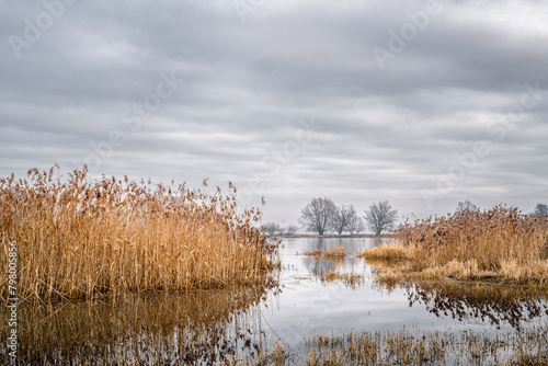 Landschaft an der Oder © Juergen Schmidt