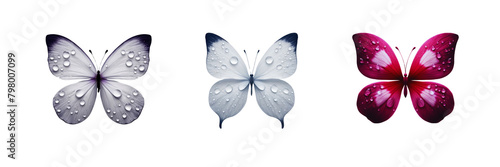 Set of Vinca flower petal shaped like a butterfly  illustration  isolated over on transparent white background