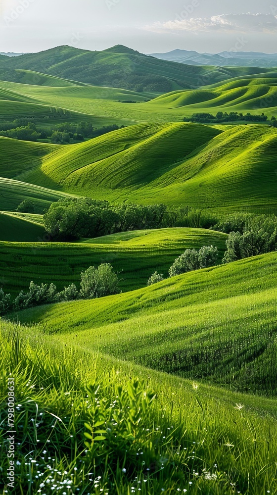 b'Picturesque green hills undulate under a blue sky' b'Picturesque green hills undulate under a blue sky'