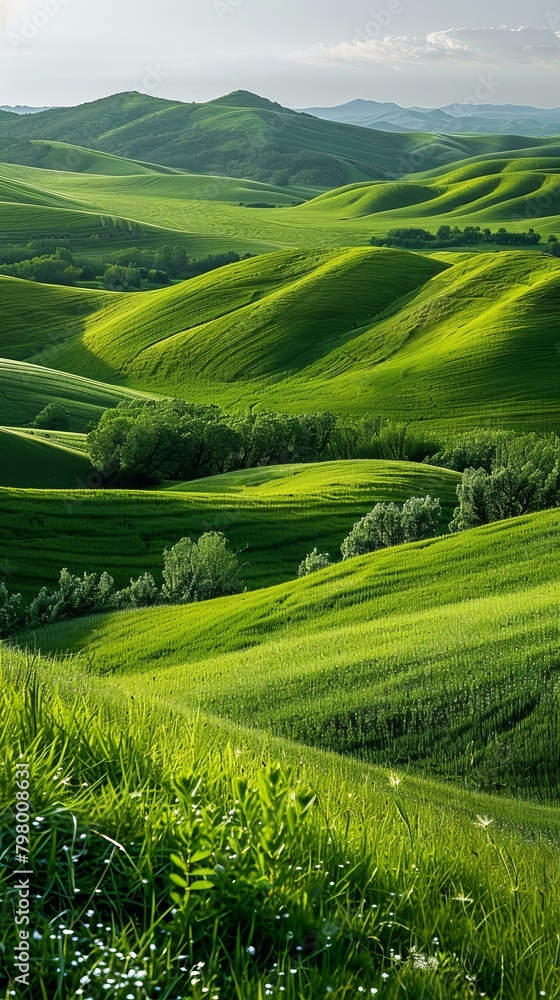 b'Picturesque green hills undulate under a blue sky'