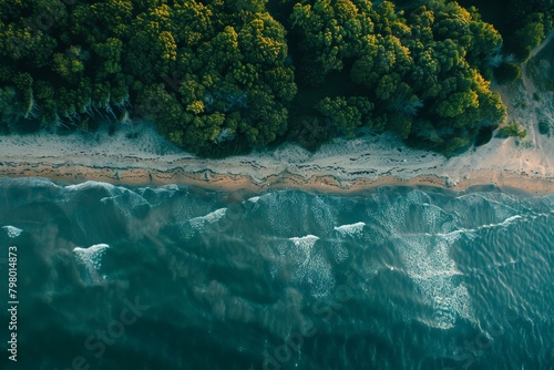 Gentle waves caress the sandy beach of a lush forest coastline in this peaceful aerial shot captured from above.