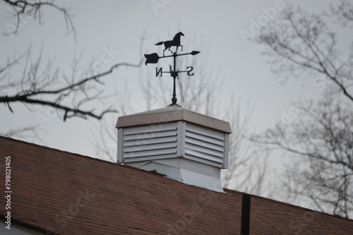fast running race horse weather vane
