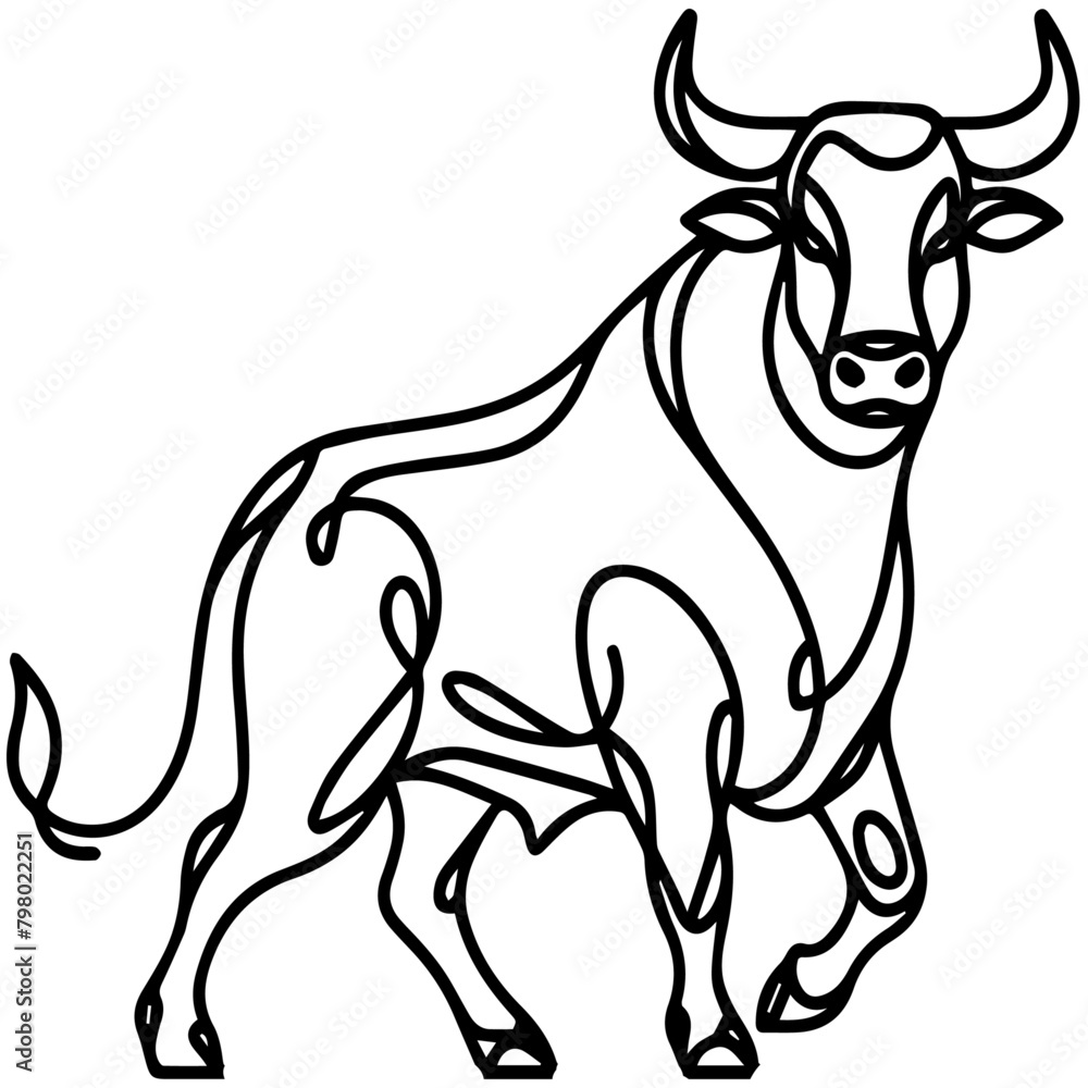 black and white bull. Vector Bull. A outline illustration