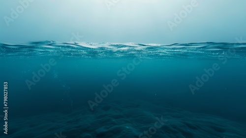 A vast body of water can be seen completely submerged underwater. The water appears deep and opaque, hiding any visibility of the surface. Various aquatic plants and marine life can be seen thriving