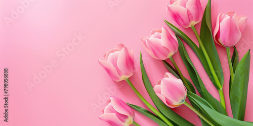 Pink tulips on a pink background, laid flat with space for copy or design. photo