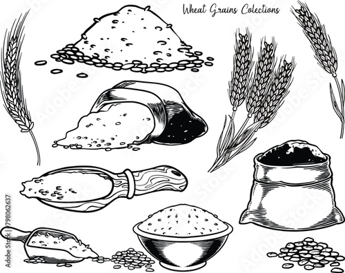hand drawn engraving wheat ...