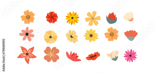 Set of spring flowers, flower botanical element isolated on white background, flowers hand drawn vector illustration