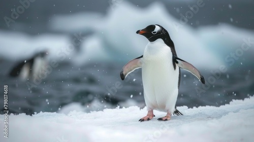 In the midst of falling snow  a Gentoo penguin stands on a snow-covered ground with a mysterious  snowy backdrop
