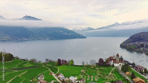 Aerial View of Spiez Castle and Vineyards by Lake Thun (ID: 798077292)