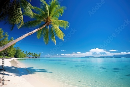 Tropical summer beach nature landscape outdoors. © Rawpixel.com