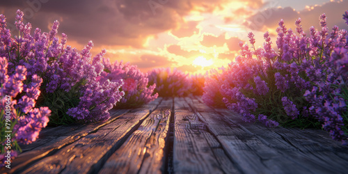 A serene sunset over a wooden path flanked by vibrant purple lavender fields, invoking a sense of tranquil beauty.