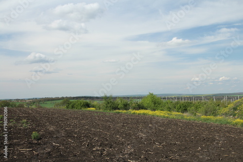 A dirt road with plants and a body of water in the background