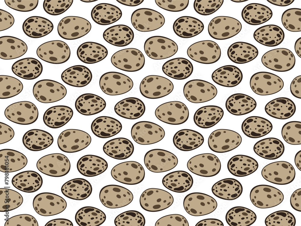 quail spotted eggs seamless pattern, quail farming vector outline ...
