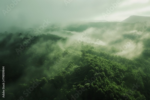 Aerial view of mist descending on a mountainous landscape, dense forests adding to the enchantment