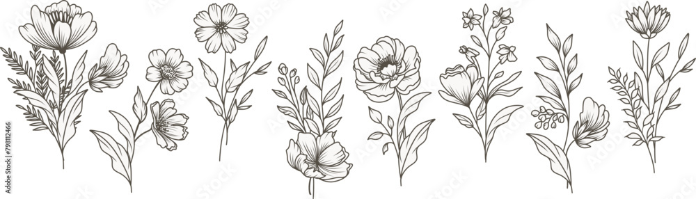 Hand drawn floral pattern in line art style. Bouquet set. Trendy botanical elements of wild and garden plants, branches, leaves, flowers, herbs. Vector illustration Hand drawn floral pattern in line art style. Bouquet set. Trendy botanical elements of wild and garden plants, branches, leaves, flowers, herbs. Vector illustration