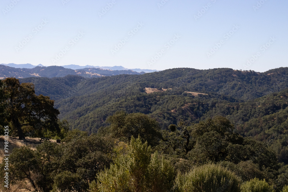 lush mountains lush mountains