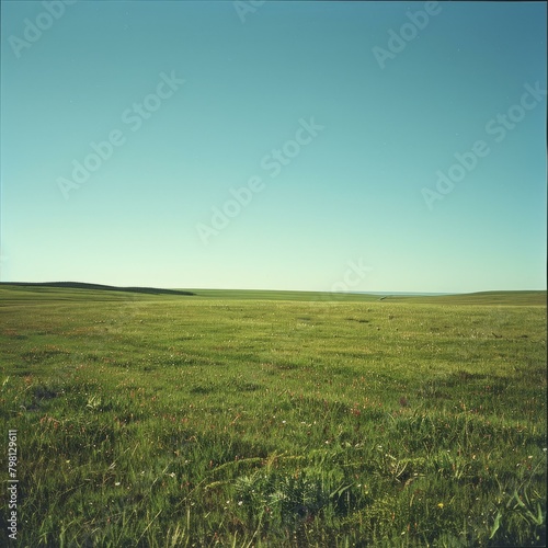 b Vast green grassland under blue sky 