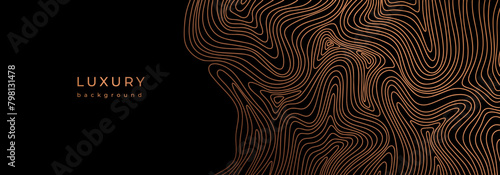 Wavy golden design elements. Luxury banner with wave pattern. Flowing liquid texture. Bronze curves. Black background with gold lines. Abstract geometric vector illustration. Vector topographic map