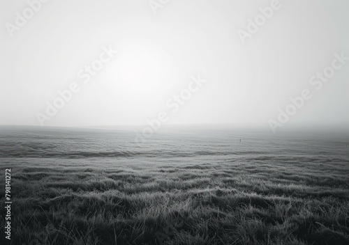 b'Black and white rural field covered in morning fog'