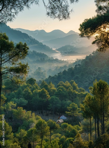 Misty Forest Sunrise Camping photo