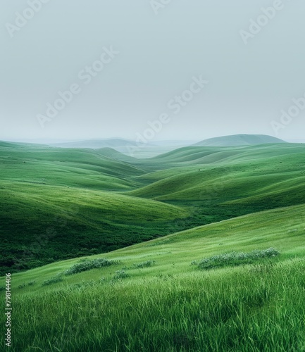 b'Green rolling hills under a grey sky'