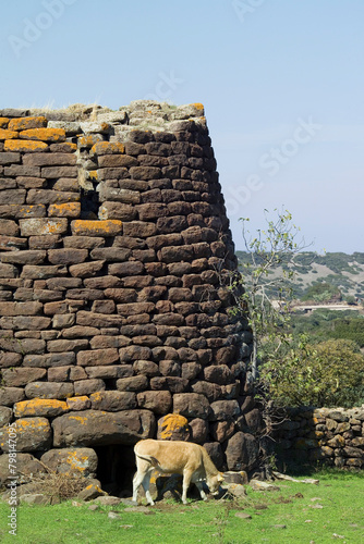 Nuraghe Ruju, Chiaramonti, Sardinia, Italy photo