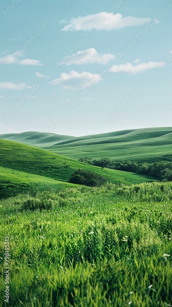 b'Green rolling hills under a blue sky with white clouds'