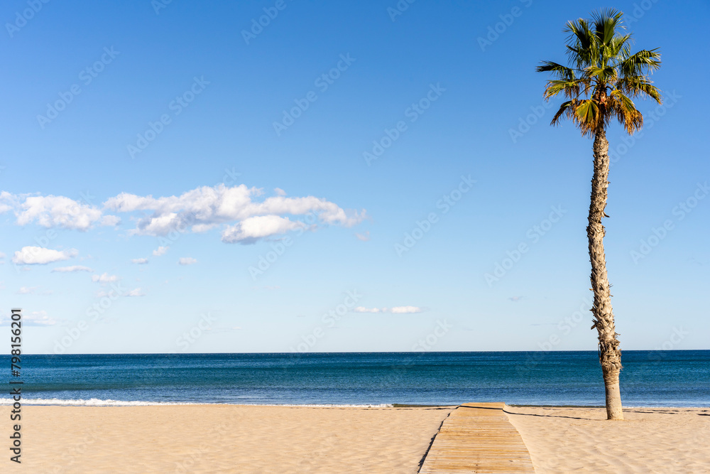 palm tree on the beach with wooden path, sand, blue sky and some small clouds
palm tree on the beach with wooden path, sand, blue sky and some small clouds
