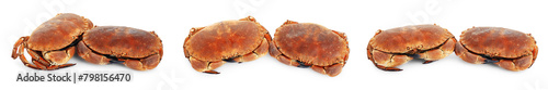Fresh cooked crabs isolated on white, set photo