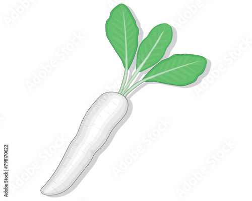 vector design of a white and gray vegetable or radish with three stems and green leaves