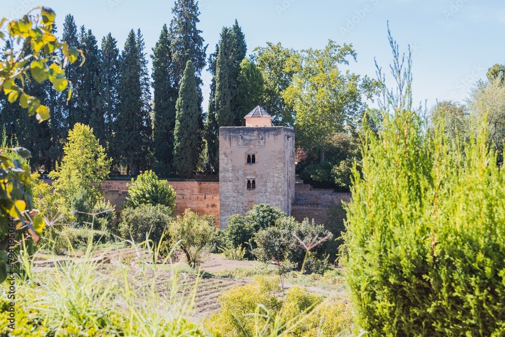 A small building with a tower sits in a lush green field