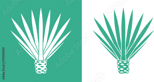Agave logo. Isolated agave on white background