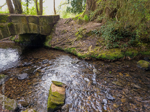 Baron's Haugh in Motherwell and is a real gem for wildlife, Scotland. UK. Wetland hides spotting ducks and swans, or woodpeckers and Nuthatches. Also may see a Kingfisher or an Otter on the river. 