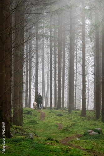 Woman walking in forest during foggy weather
