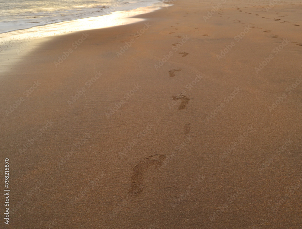 footprints on the beach
footprints on the beach