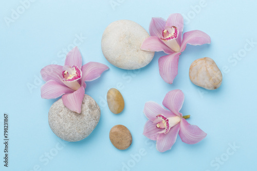 Composition with orchids and massage stones on color background  top view