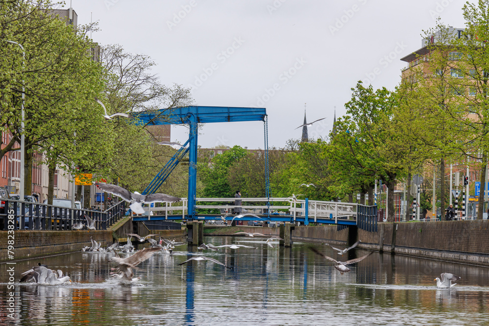 Die sTadt Den haag in den Niederlanden Die sTadt Den haag in den Niederlanden