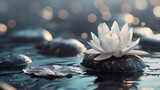 a white lotus flower resting delicately on dark, wet stones. The serene scene is set against calm water, with a gentle bokeh effect in the background