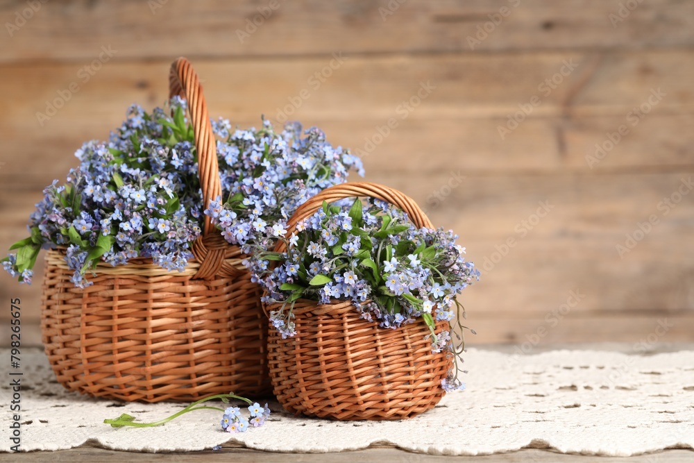Beautiful forget-me-not flowers in wicker baskets on wooden table, closeup. Space for text Beautiful forget-me-not flowers in wicker baskets on wooden table, closeup. Space for text