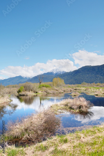 Pitt River Dike Scenic Point during a spring season in Pitt Meadows, British Columbia, Canada