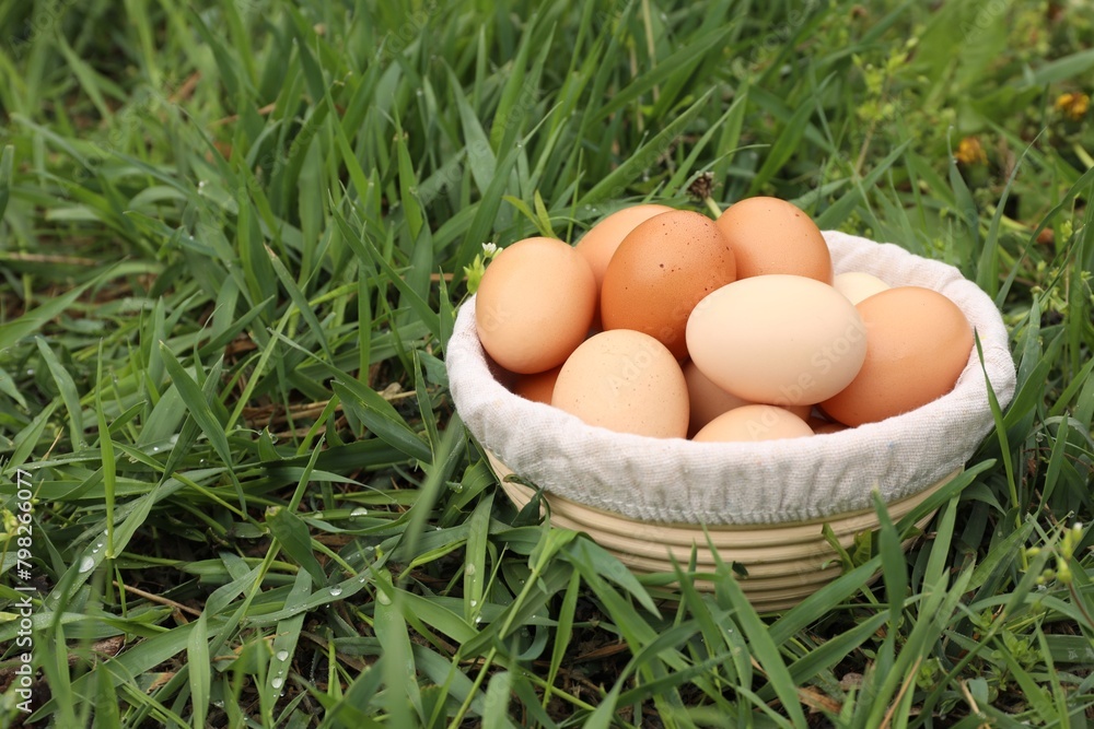 Fresh chicken eggs in basket on green grass outdoors, space for text Fresh chicken eggs in basket on green grass outdoors, space for text