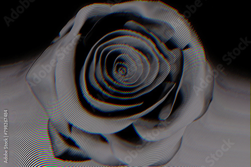 one striped black rose bud close up, glitch effect, 3d rendered