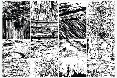 Textured wood piece for signs background set. Lumberjack yard trunk pile finds set. Wood mill and logging timber industry background concept. Pine or spruce trees as plywood natural pattern set