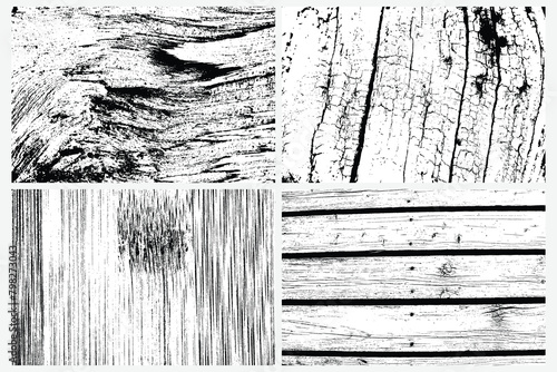 Abstract tree wood surface texture background set. Nature wooden texture collection. Black and white. Vector background design. Forest finds collection, natural tree flat set.